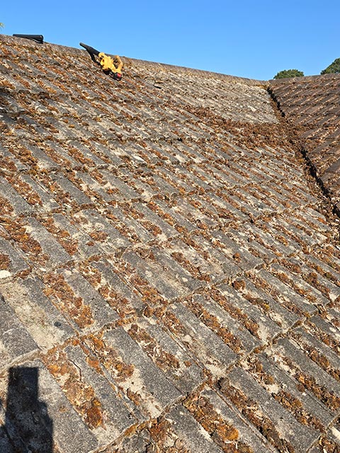 Moss Cleared on Roof Middle View - Before Photo - Bournemouth Roofing Poole Christchurch Dorset