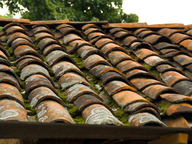 Moss Removal - Bournemouth Roofing Dorset